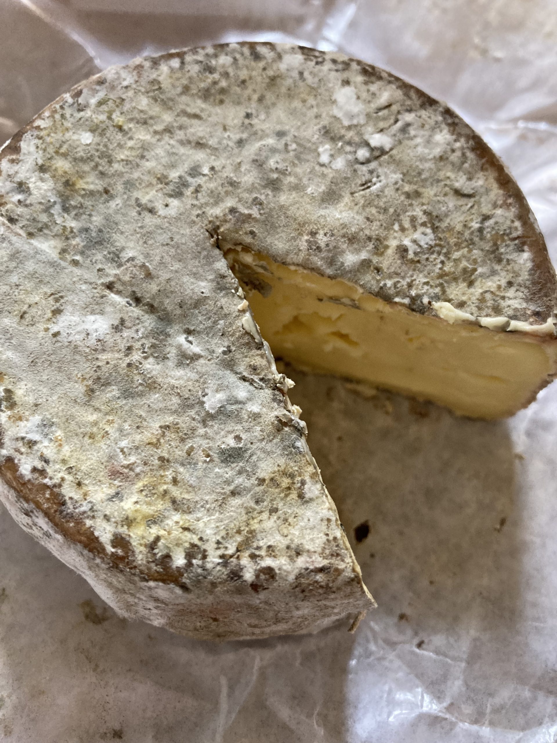 Käse aus Galicien